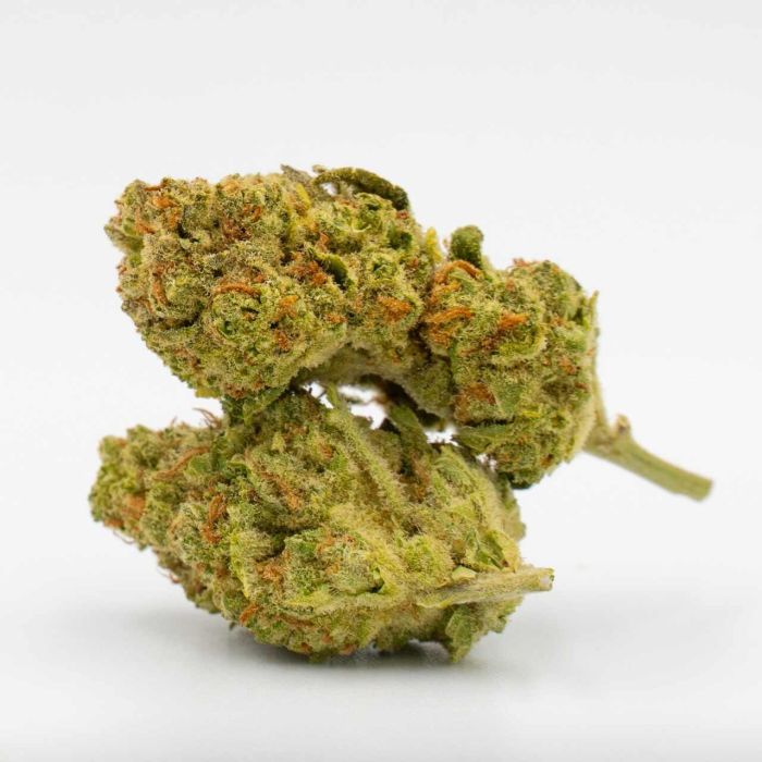 Cinderella 99 Fast Version Cannabis Seeds